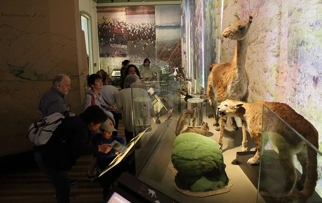 Natural History Museum of Valparaiso