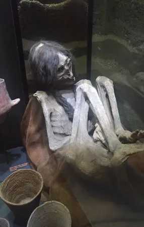 Francisco Fonck Archaeology and History Museum Corporation