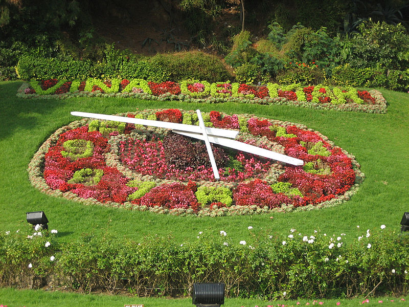 Flower clock