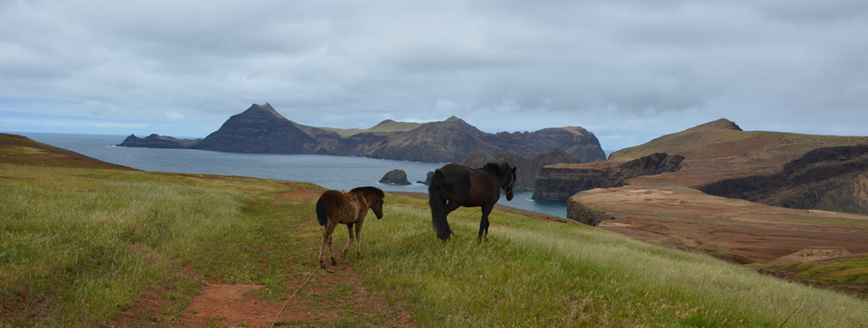 Isla Robinson Crusoe