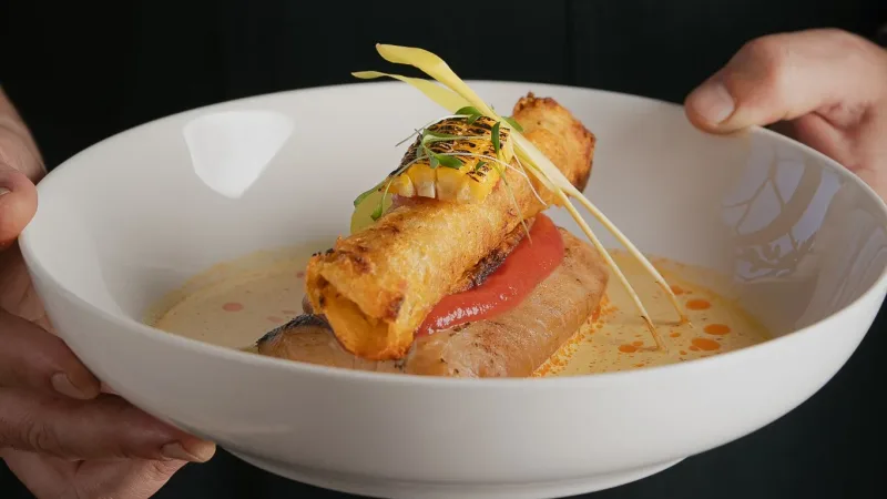 Hands holding a white bowl with a gourmet fish dish, crispy roll, tomato sauce, broth, and microgreen garnish
