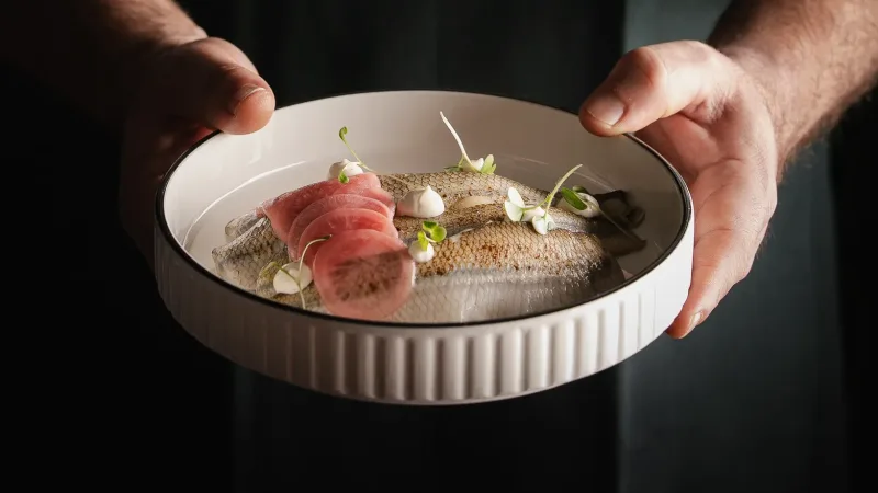 Hands holding a white ceramic bowl with an elegantly plated fish dish, garnished with microgreens and cream dollops