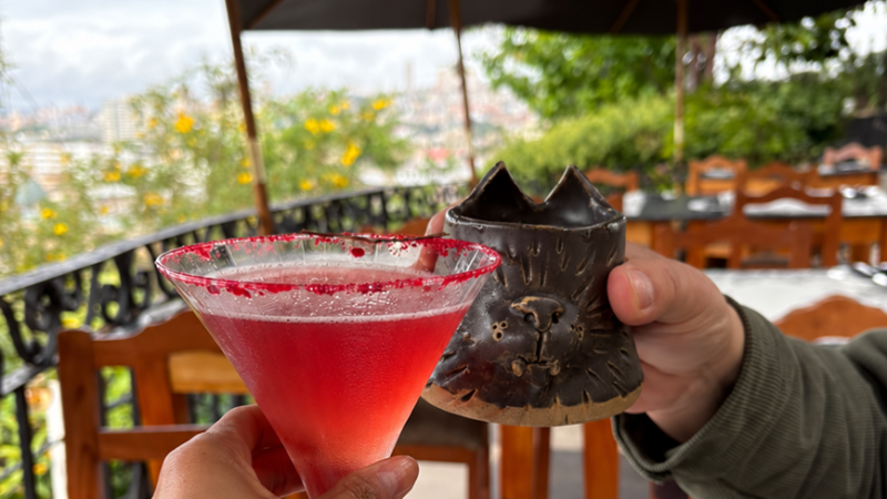 Two hands toasting: one holding a red martini cocktail, the other a dark wolf-shaped ceramic cup, on a restaurant terrace